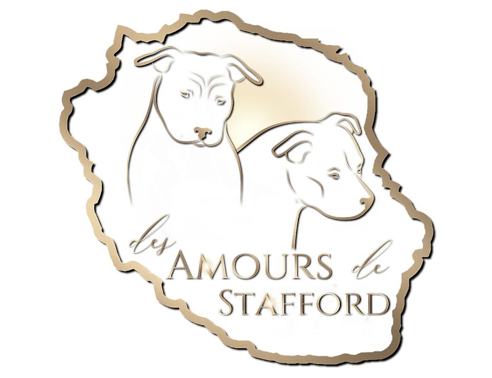 Des Amours De Stafford